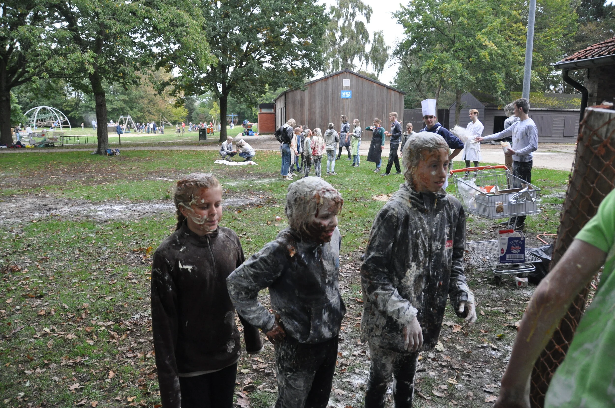 DSC_0708.JPG