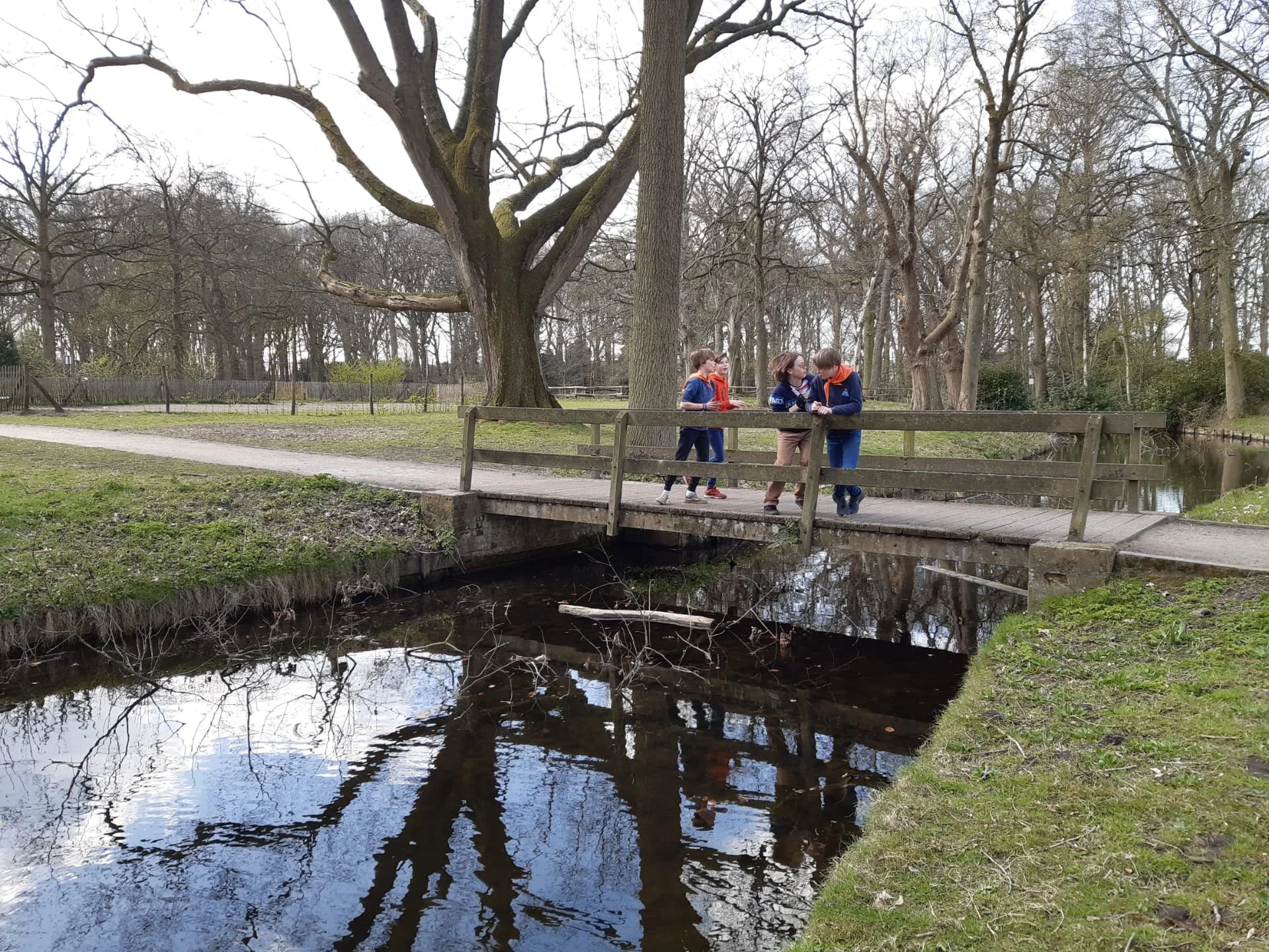 WhatsApp Image 2021-04-13 at 19.16.19.jpeg