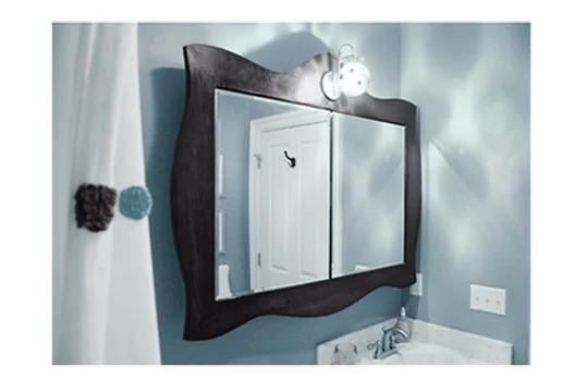 Steven_Carroll_mirror.jpg