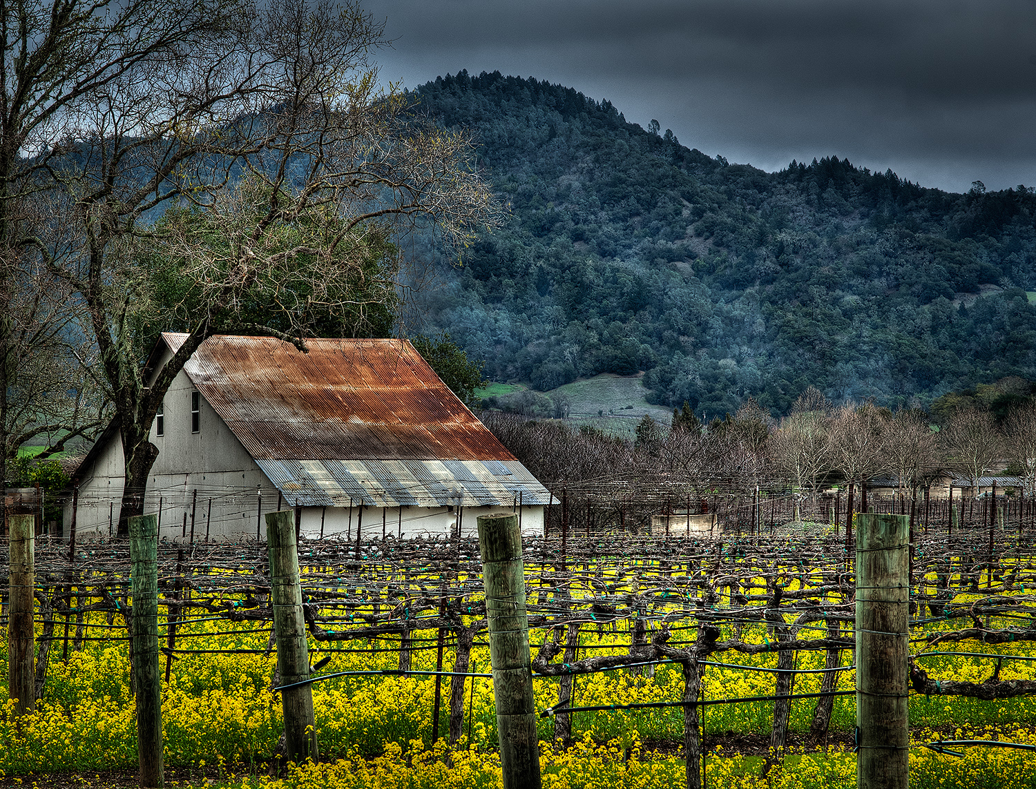 _DSC0048_tonemapped copy.jpg