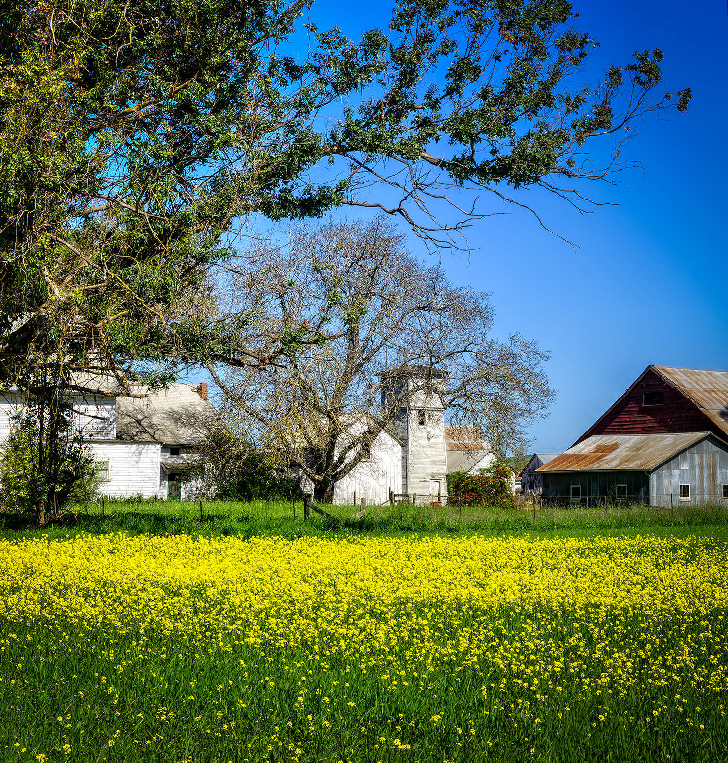 _DSC4855_6_7_8_9_tonemapped-Edit copy.jpg