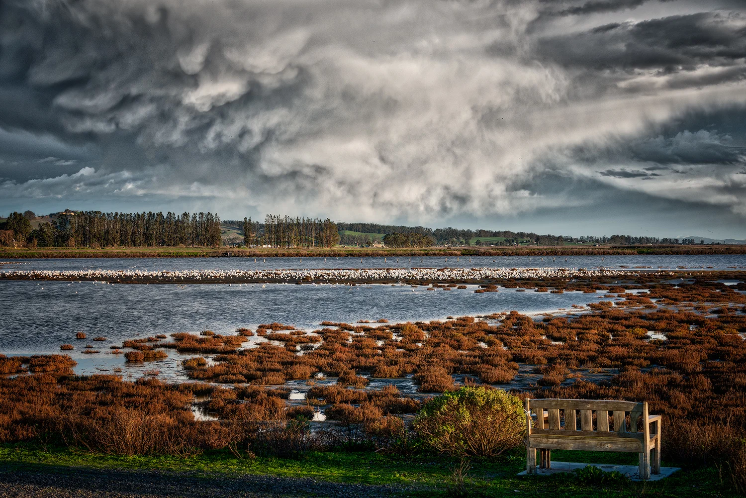 _DSC9795_AuroraHDR_HDR-Edit copy.jpg