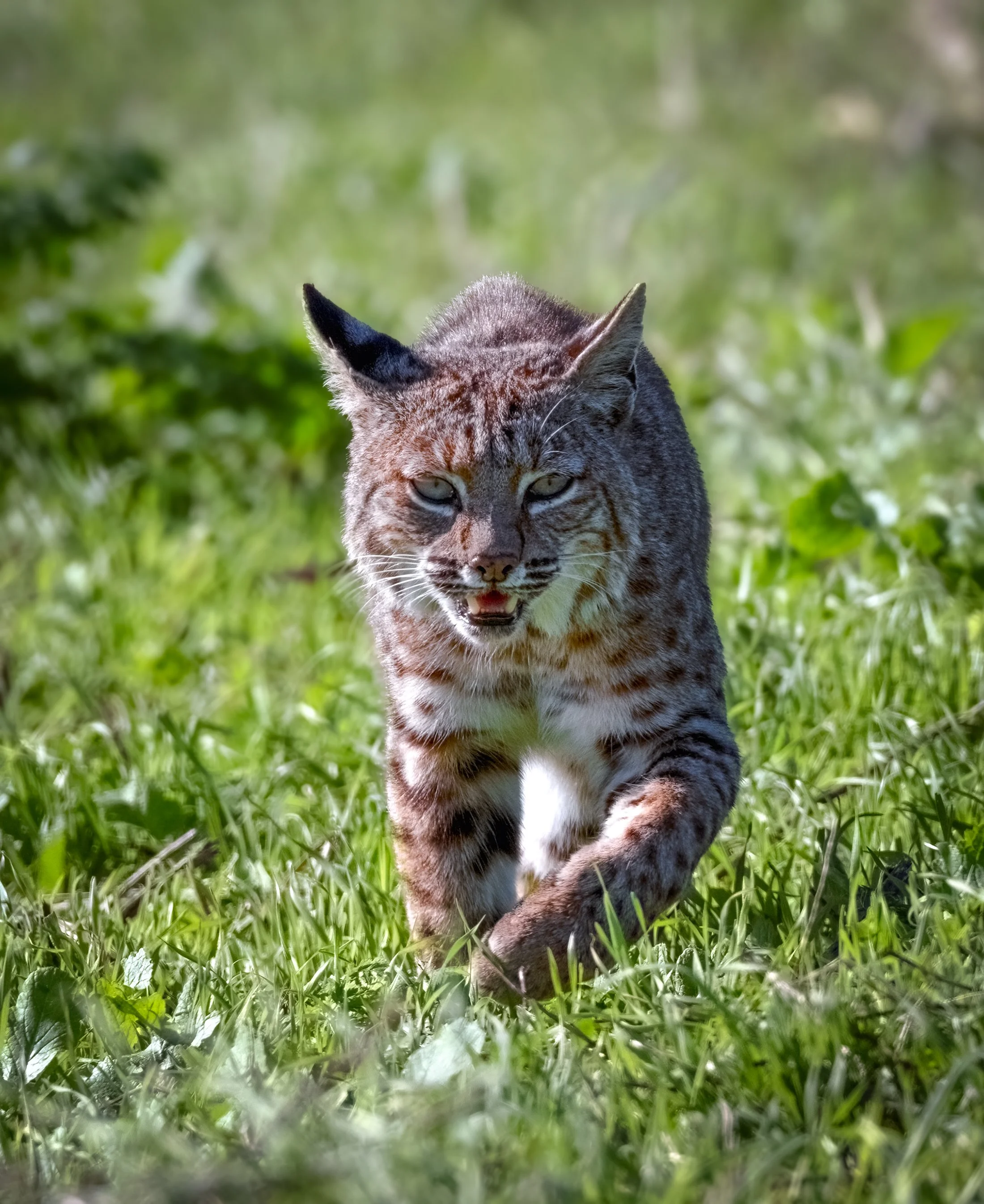 _0Z80663-Edit-Edit-Edit.jpg