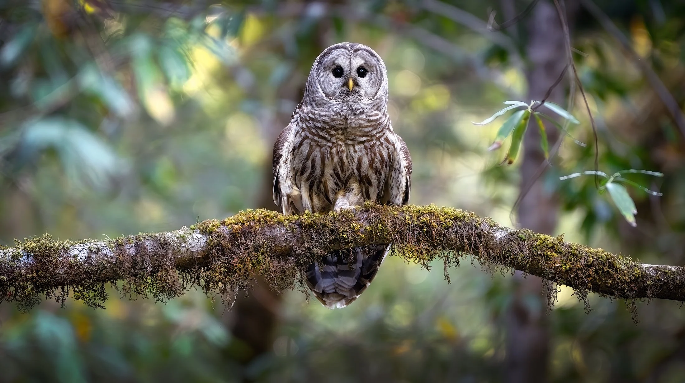 _DSC2160-Edit-Edit.jpg