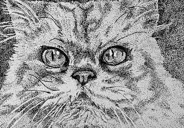 Stipple 