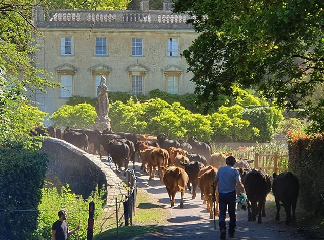 Idyllic countryside scenes on your doorstep