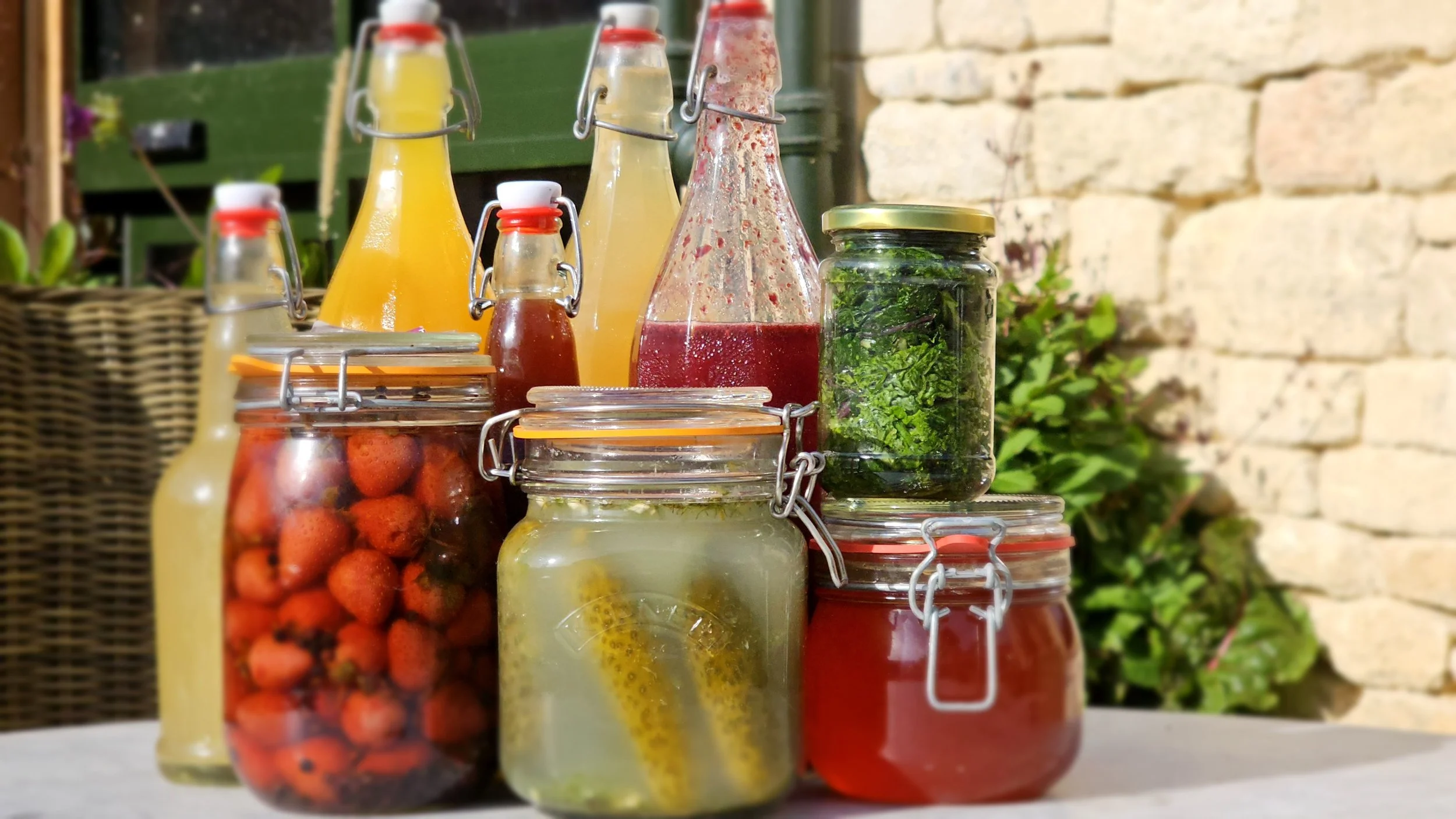 Fermentation Workshop