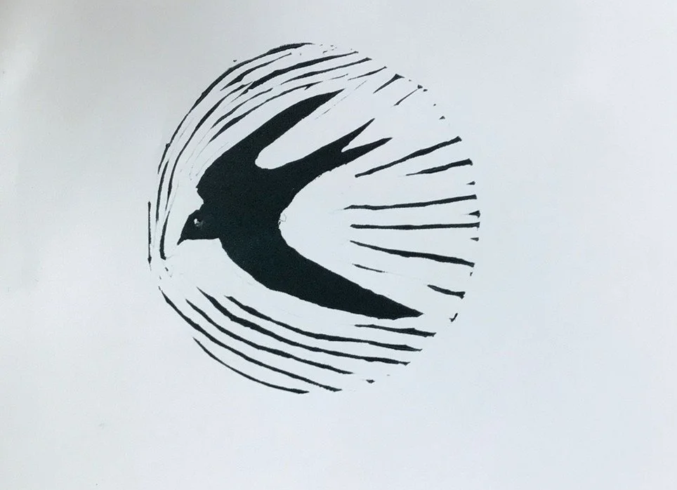 Helping Swifts &amp; House Martins