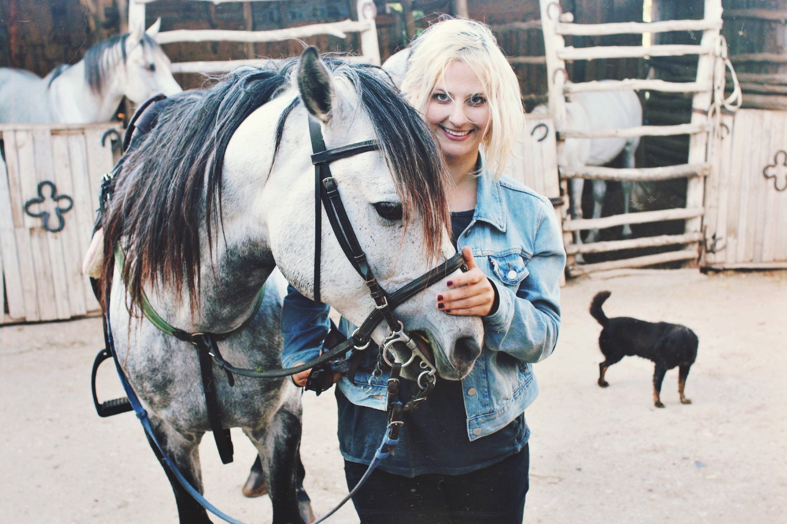 Me and my horse friend Mogador