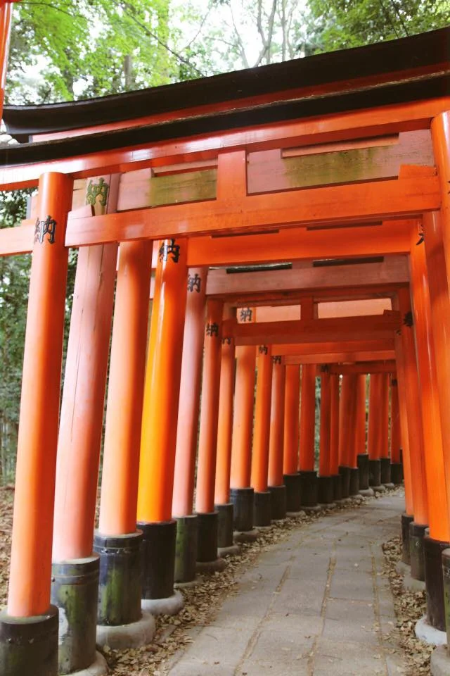the famous orange gates