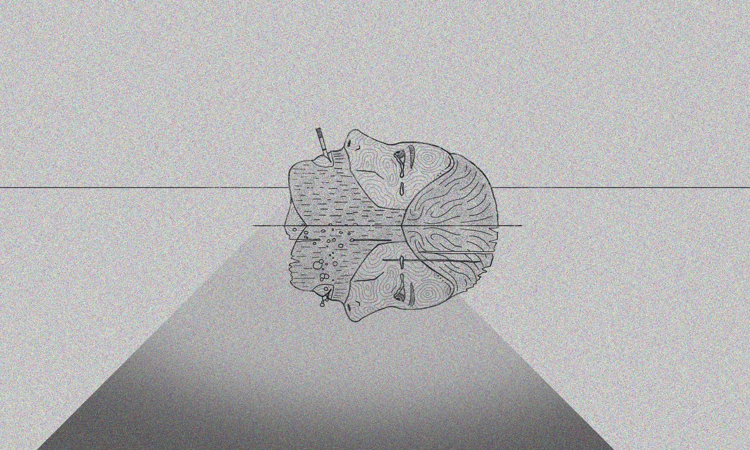ilustra1.jpg