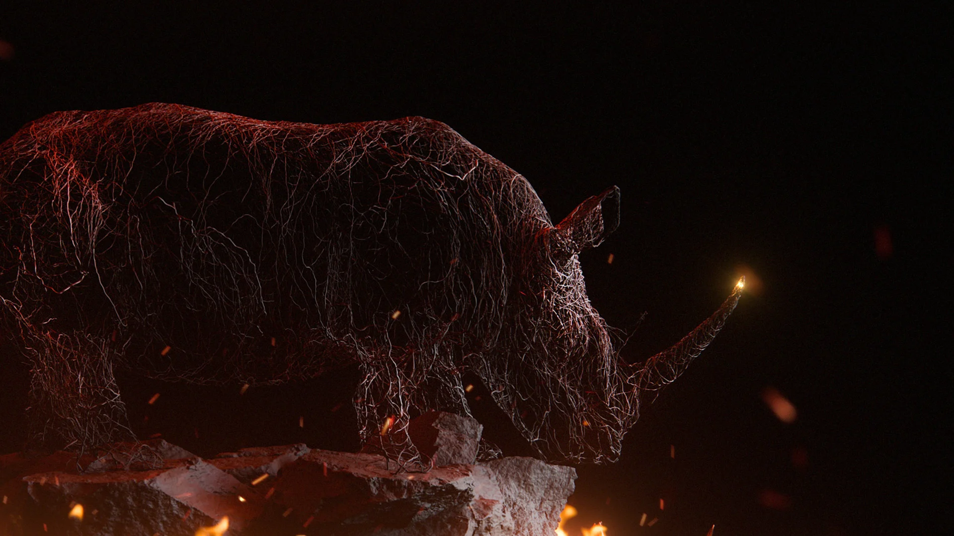 RhinoCloseup.jpg