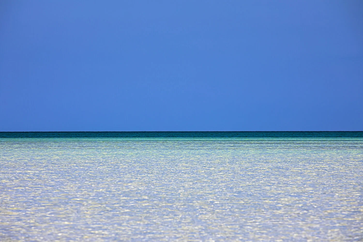 paradise.jpg