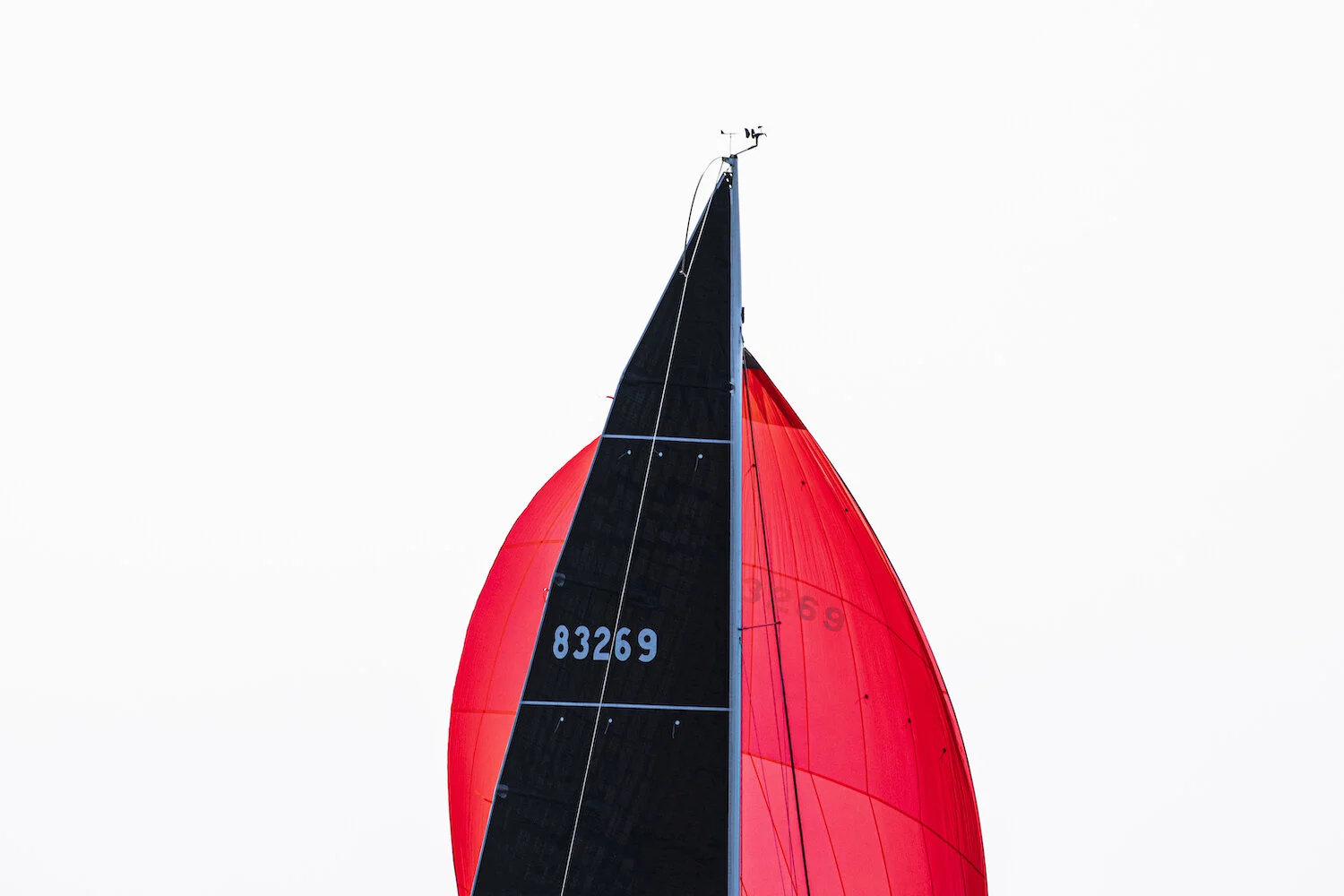 Sail.jpg
