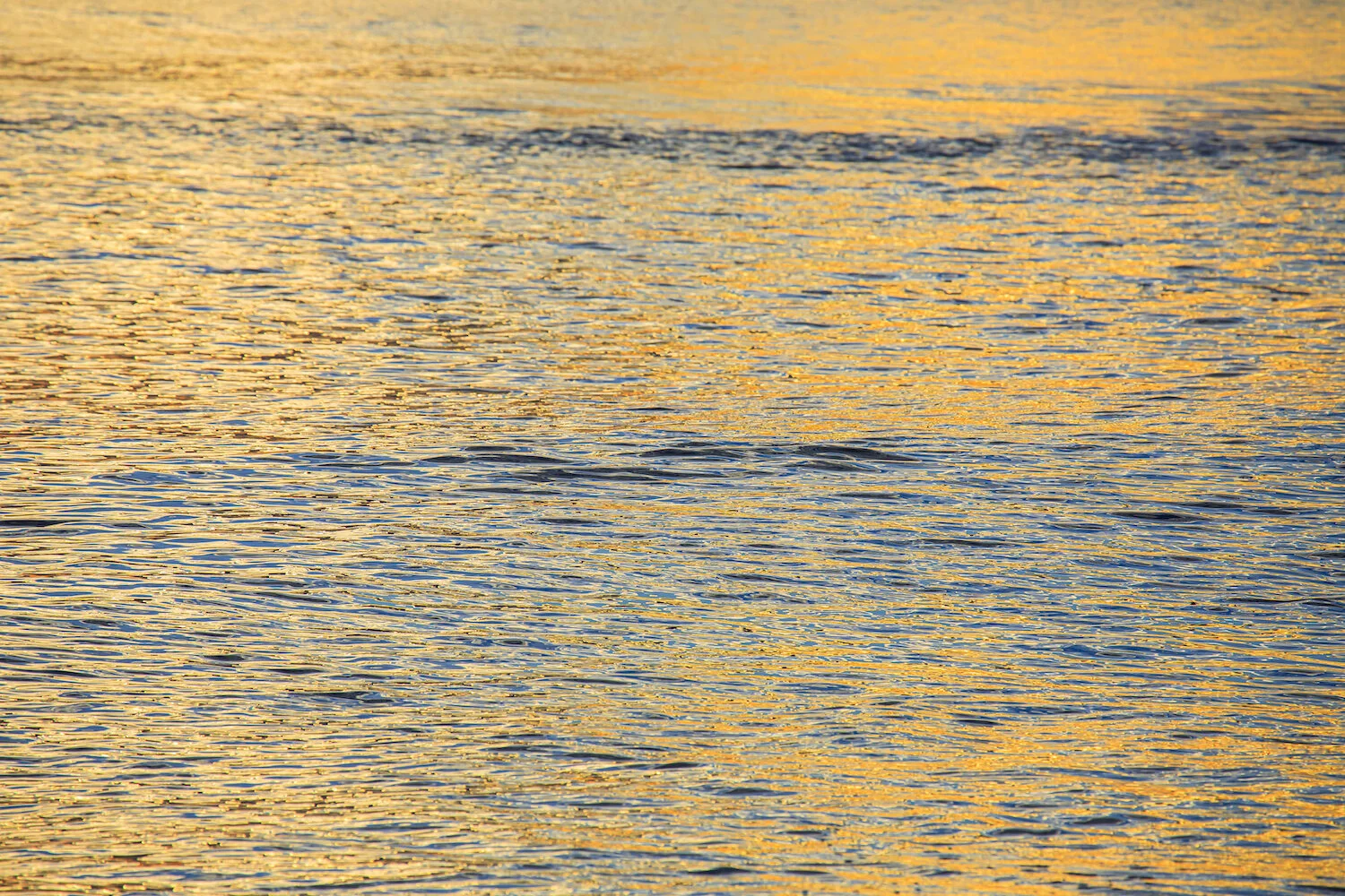 all-that-glitters-is-gold.jpg
