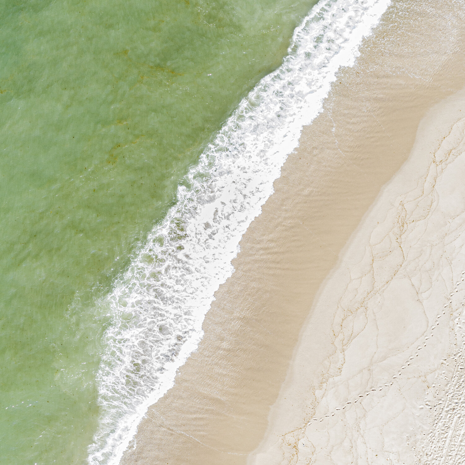 Tan Lines 1x1.jpg