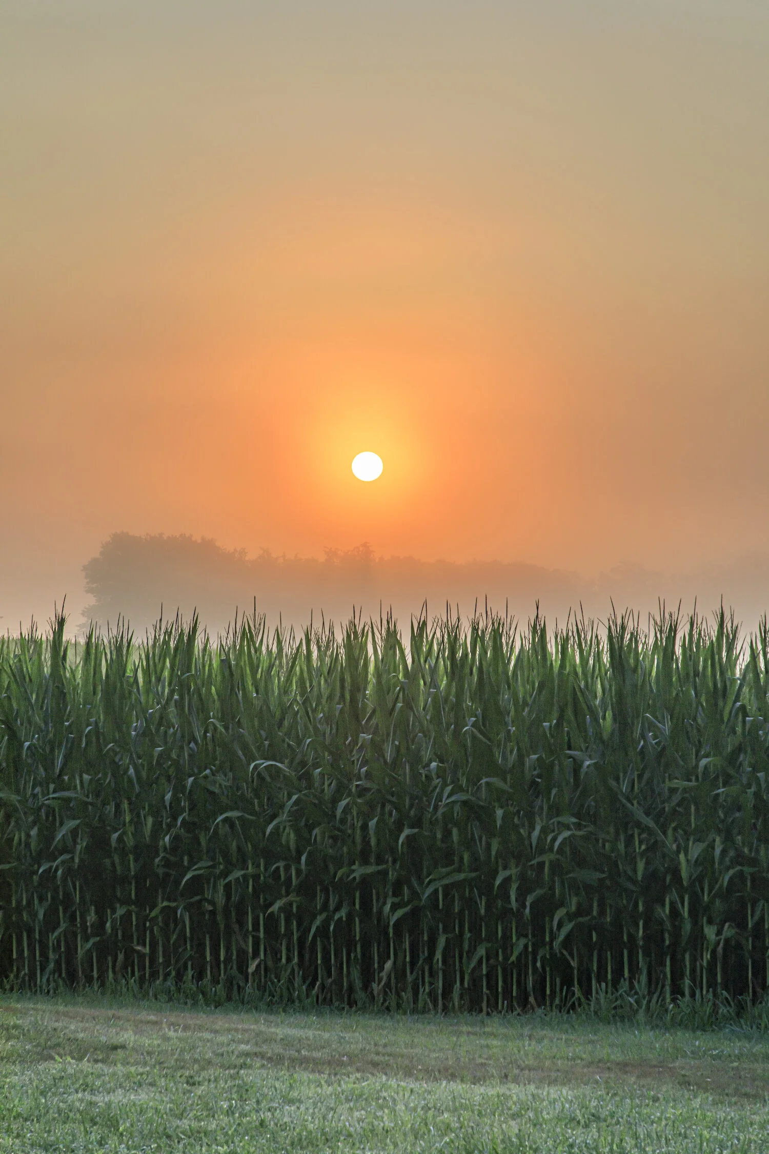 sunrise.jpg