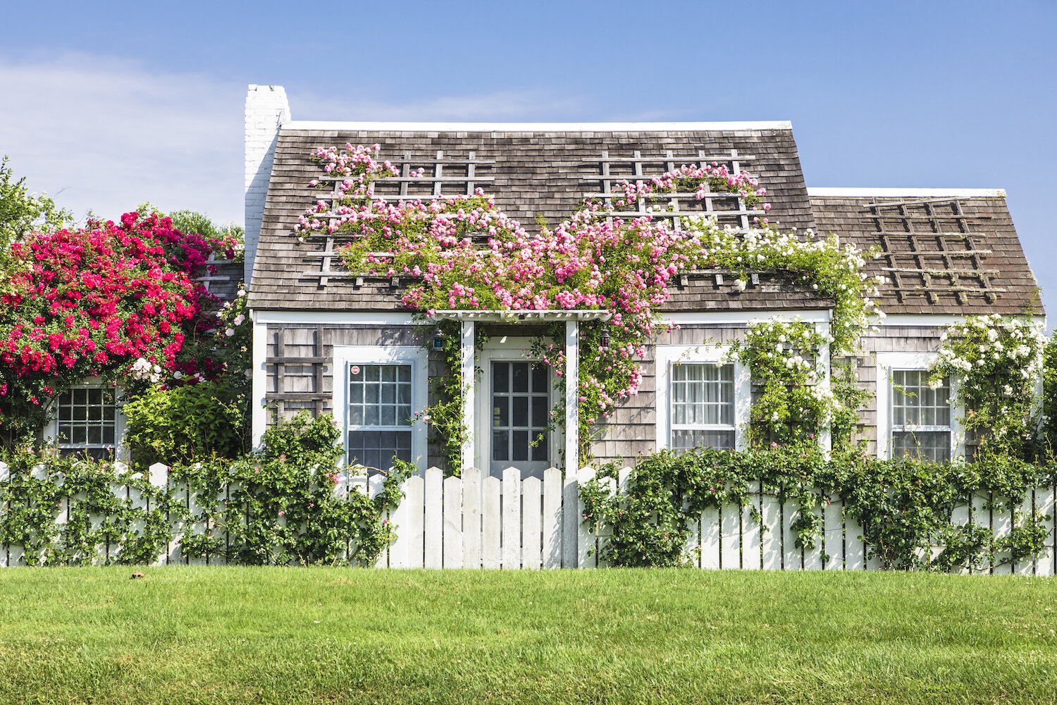 stop-and-smell-the-roses.jpg