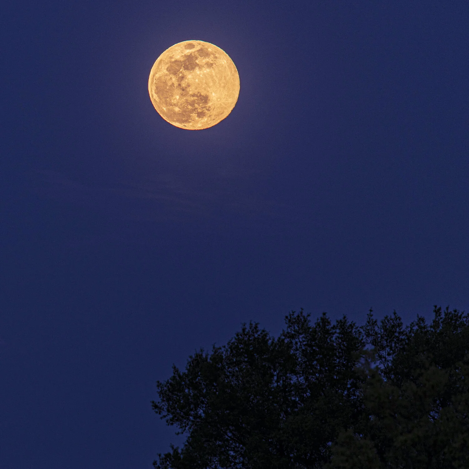supermoon.jpg