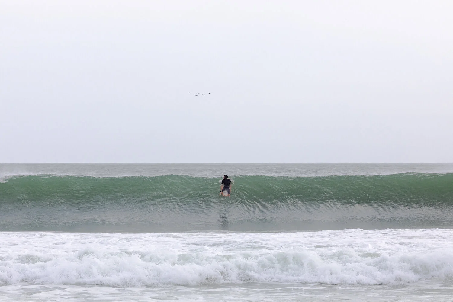 Riding the Wave copy.jpg
