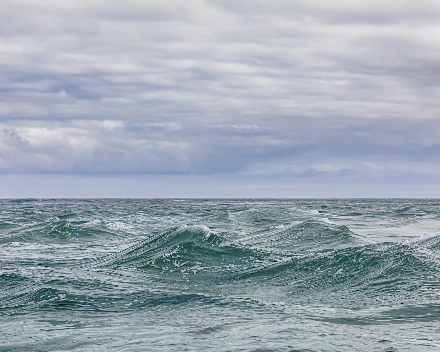 Out to Sea.jpg