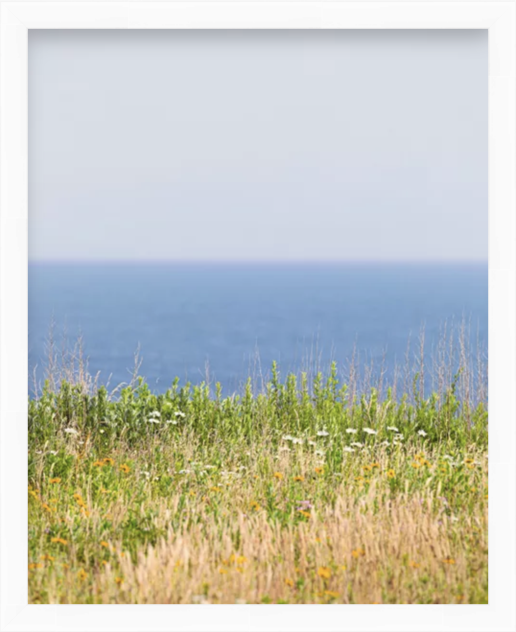 Screen Shot 2021-04-11 at 12.06.35 PM.png