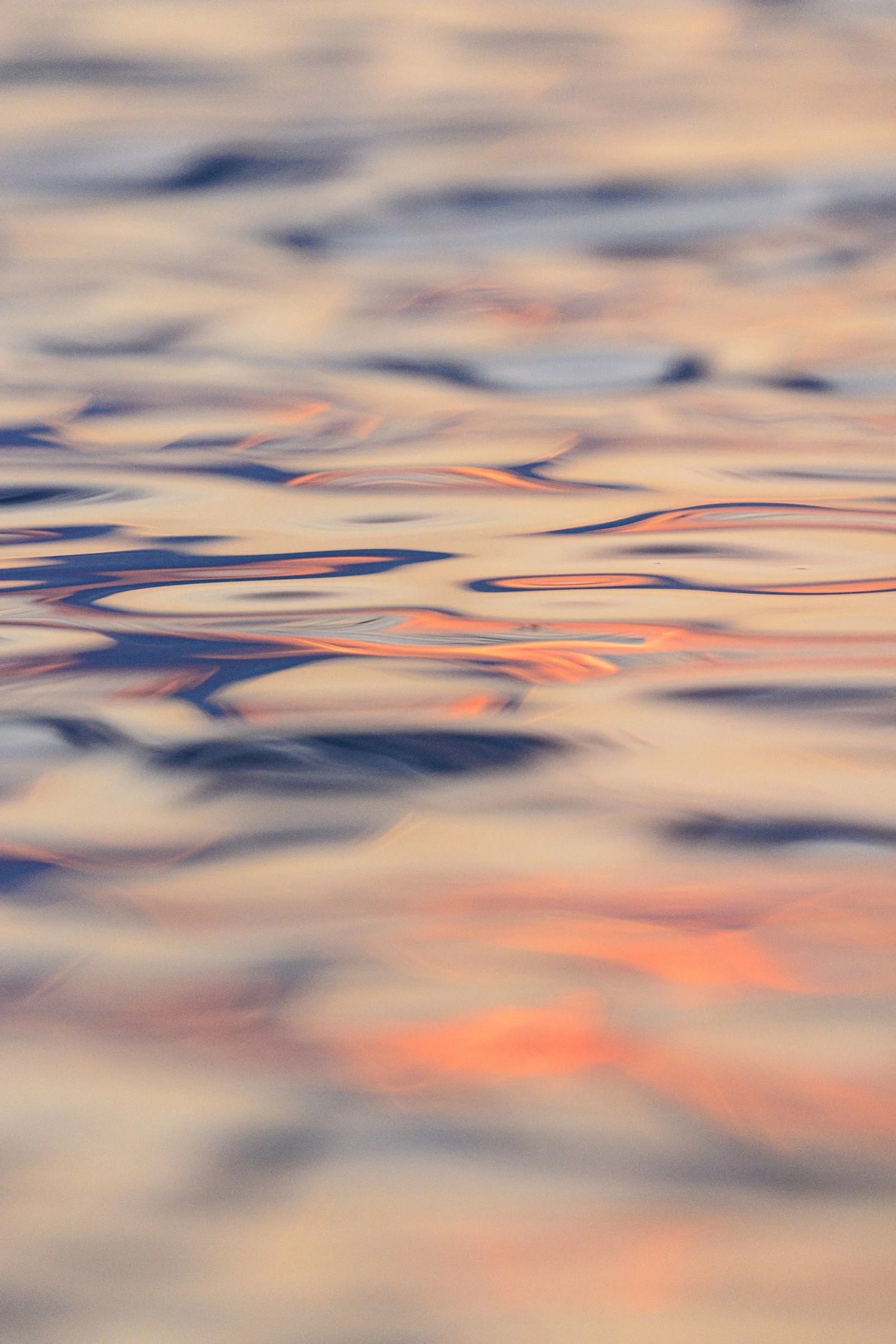 Peachy Blues.jpg
