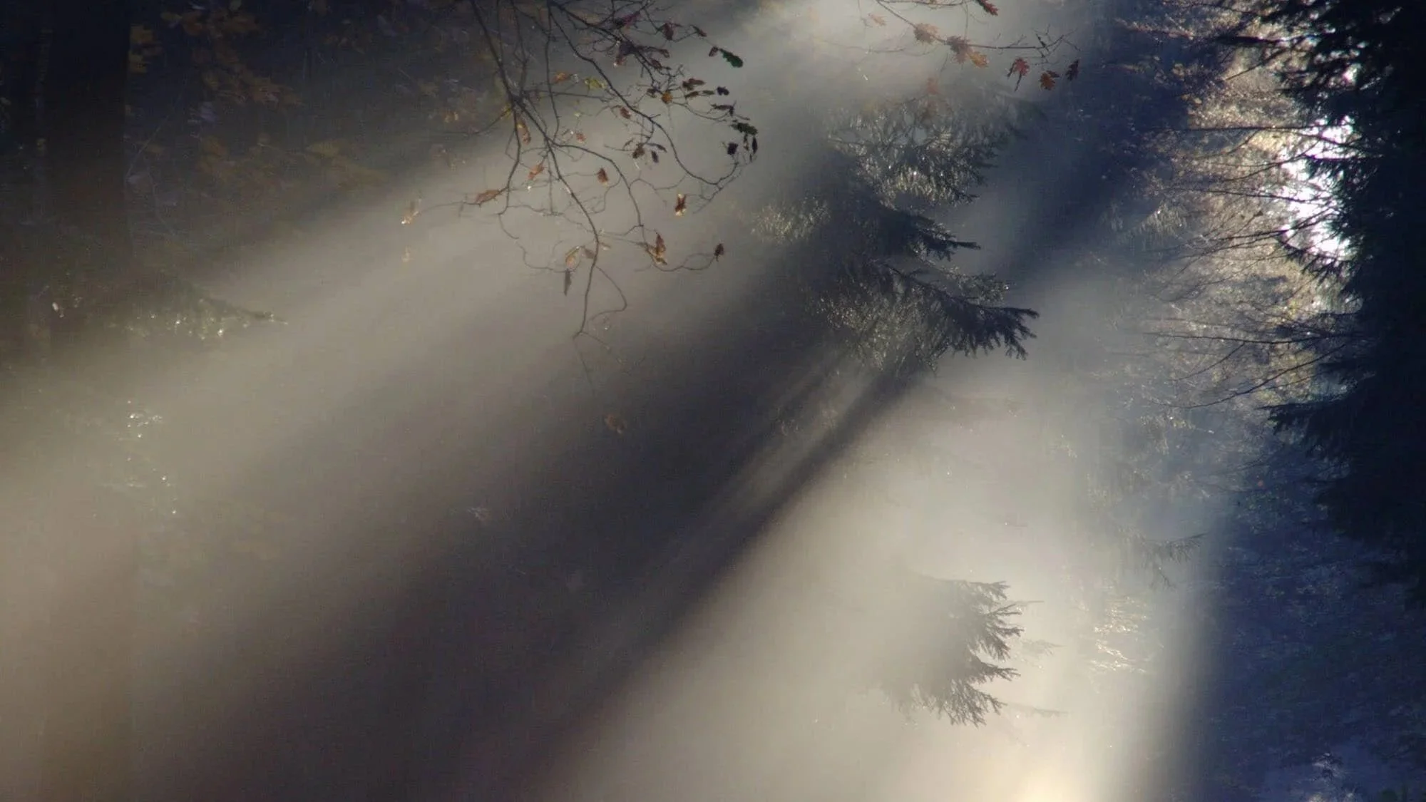 zje-background (1).jpg