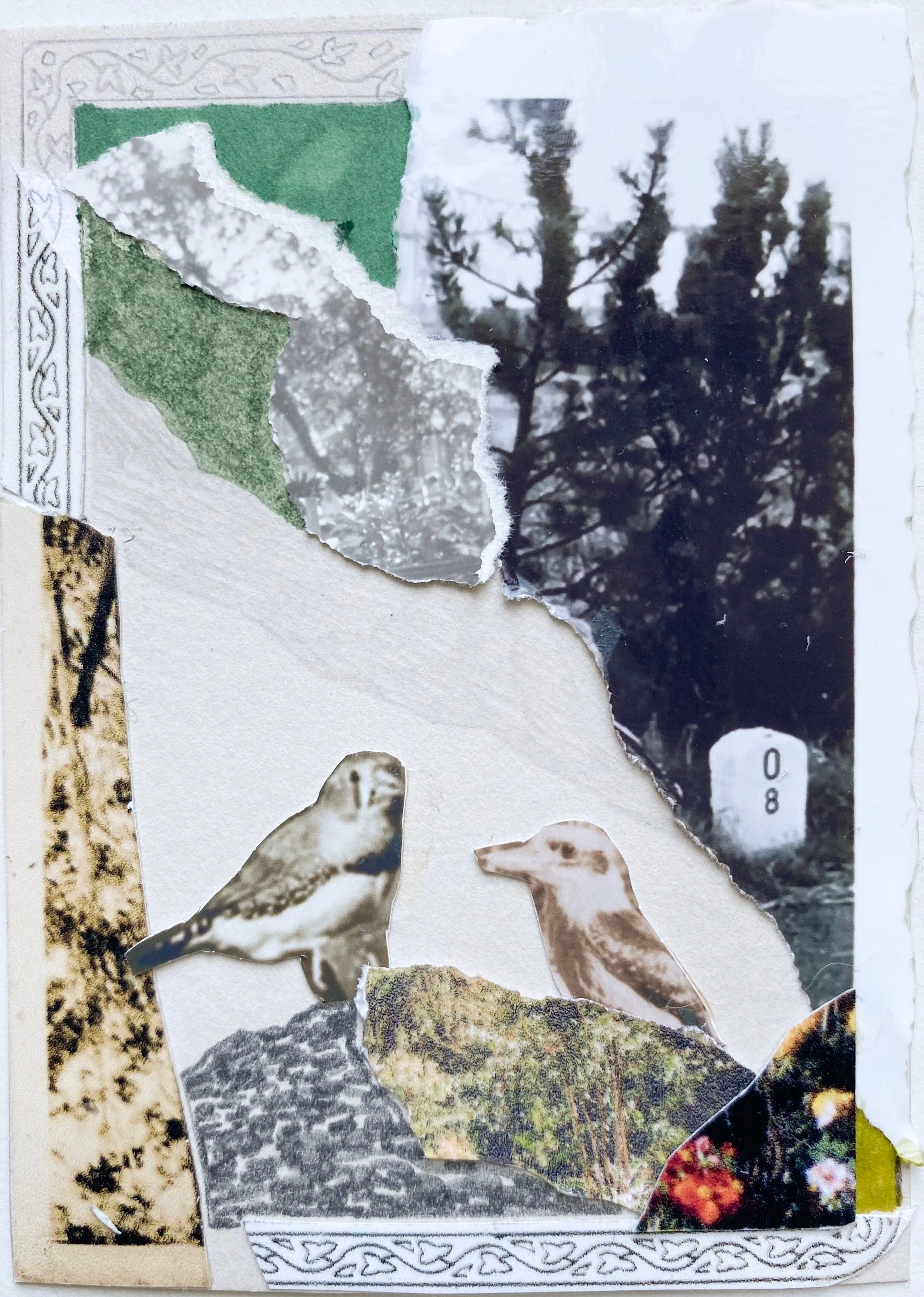 Day 5: Birds; 2.5"x3.5"