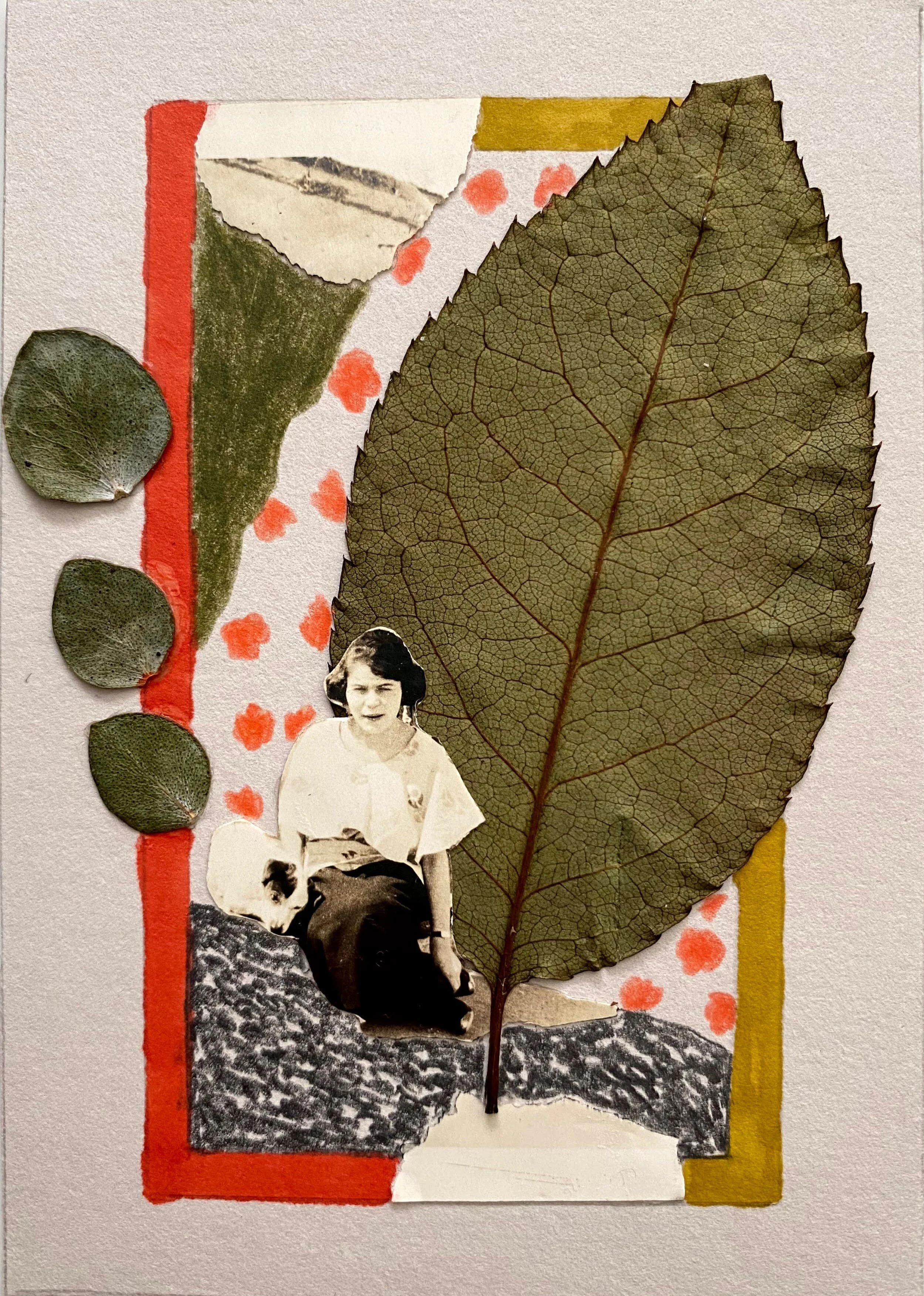 Day 9 Leaves