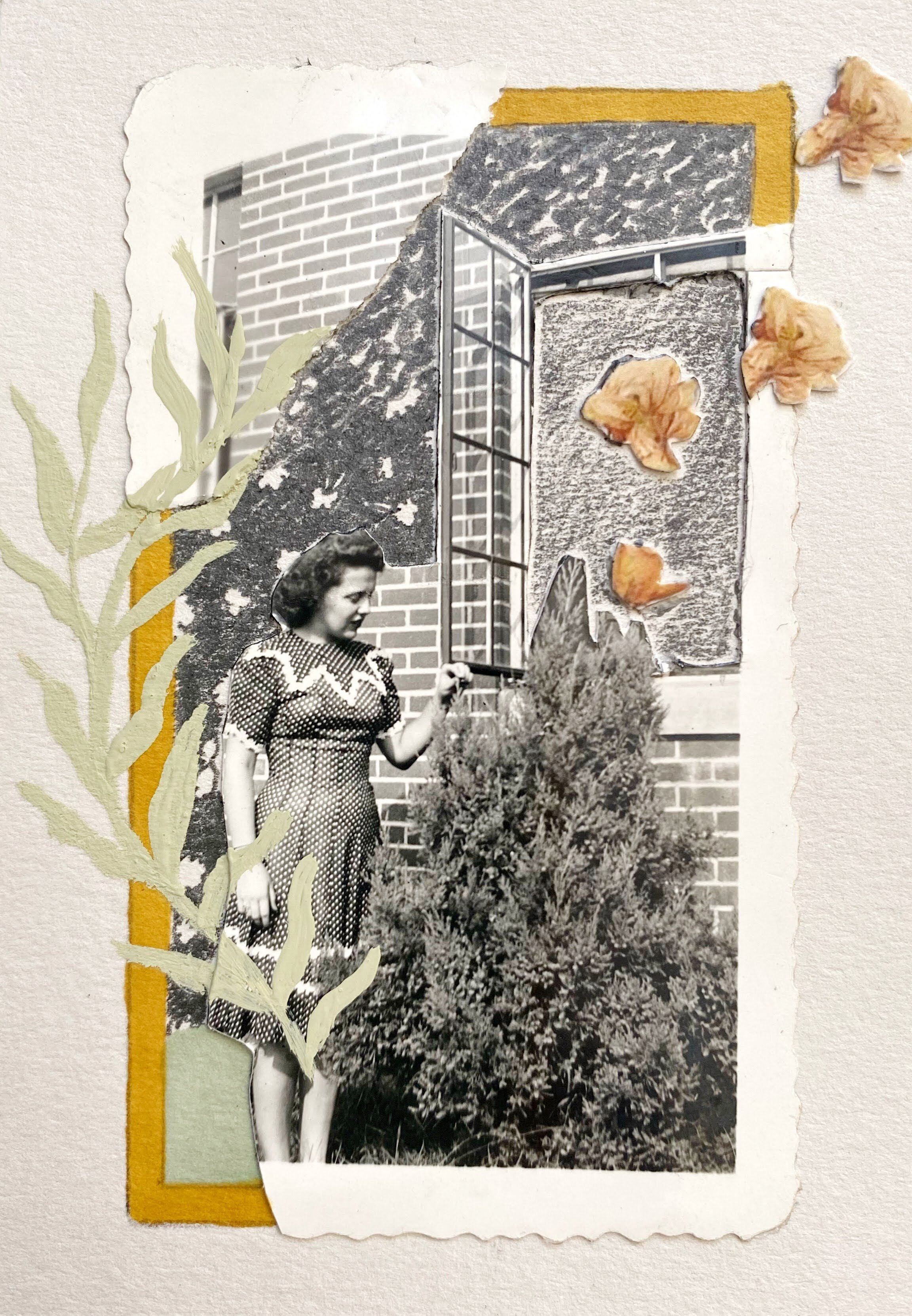 Day 5 Window