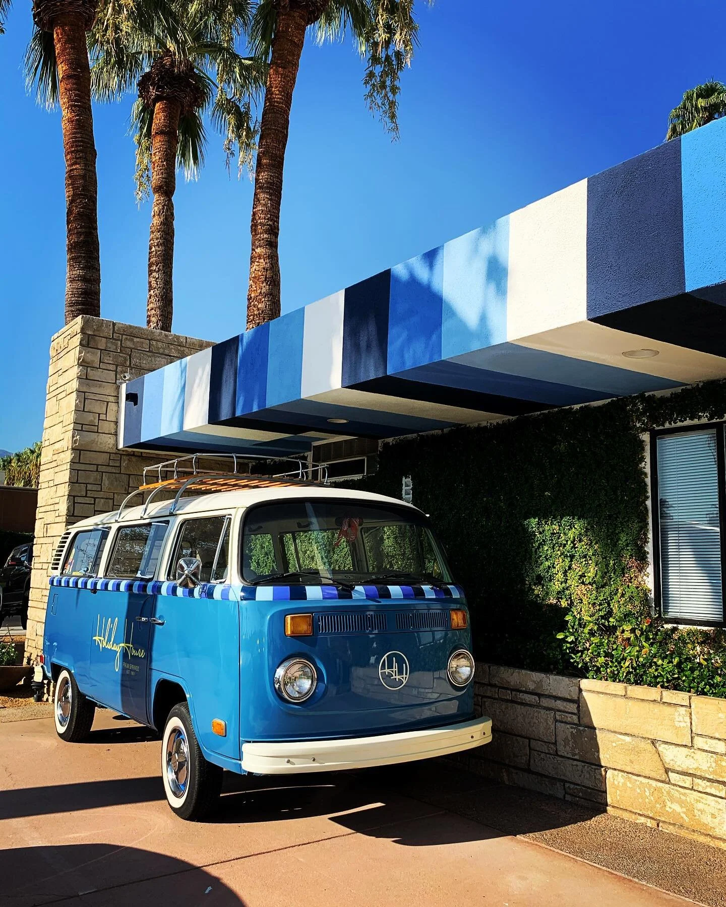 Morning views from my favorite little getaway spot 🌴🔆