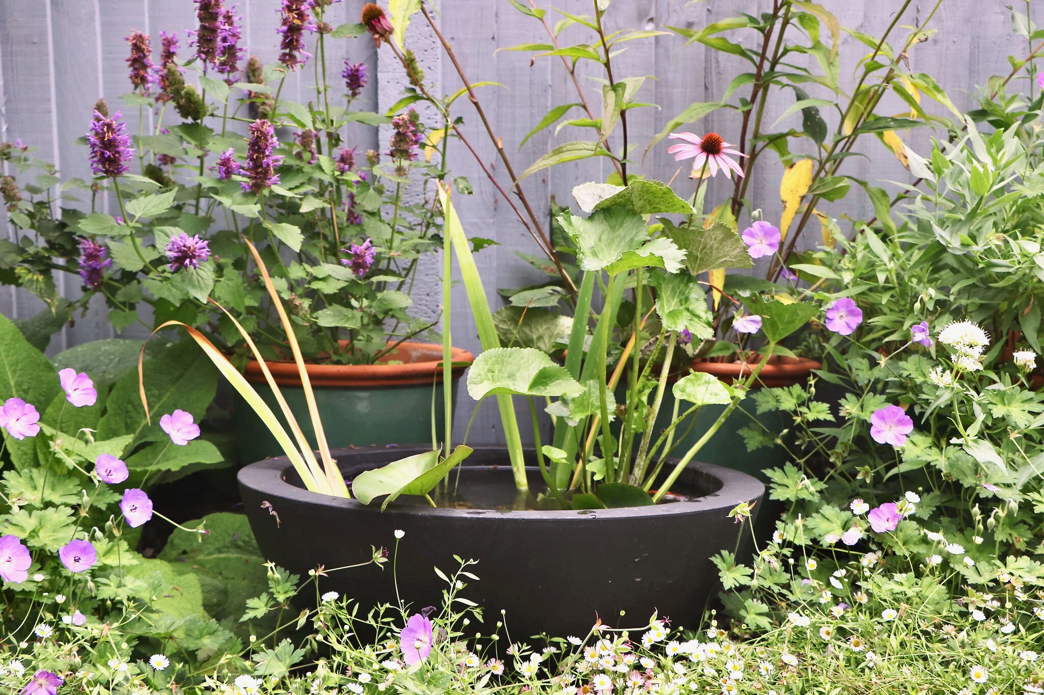 Gardens by Knight pond view.jpeg