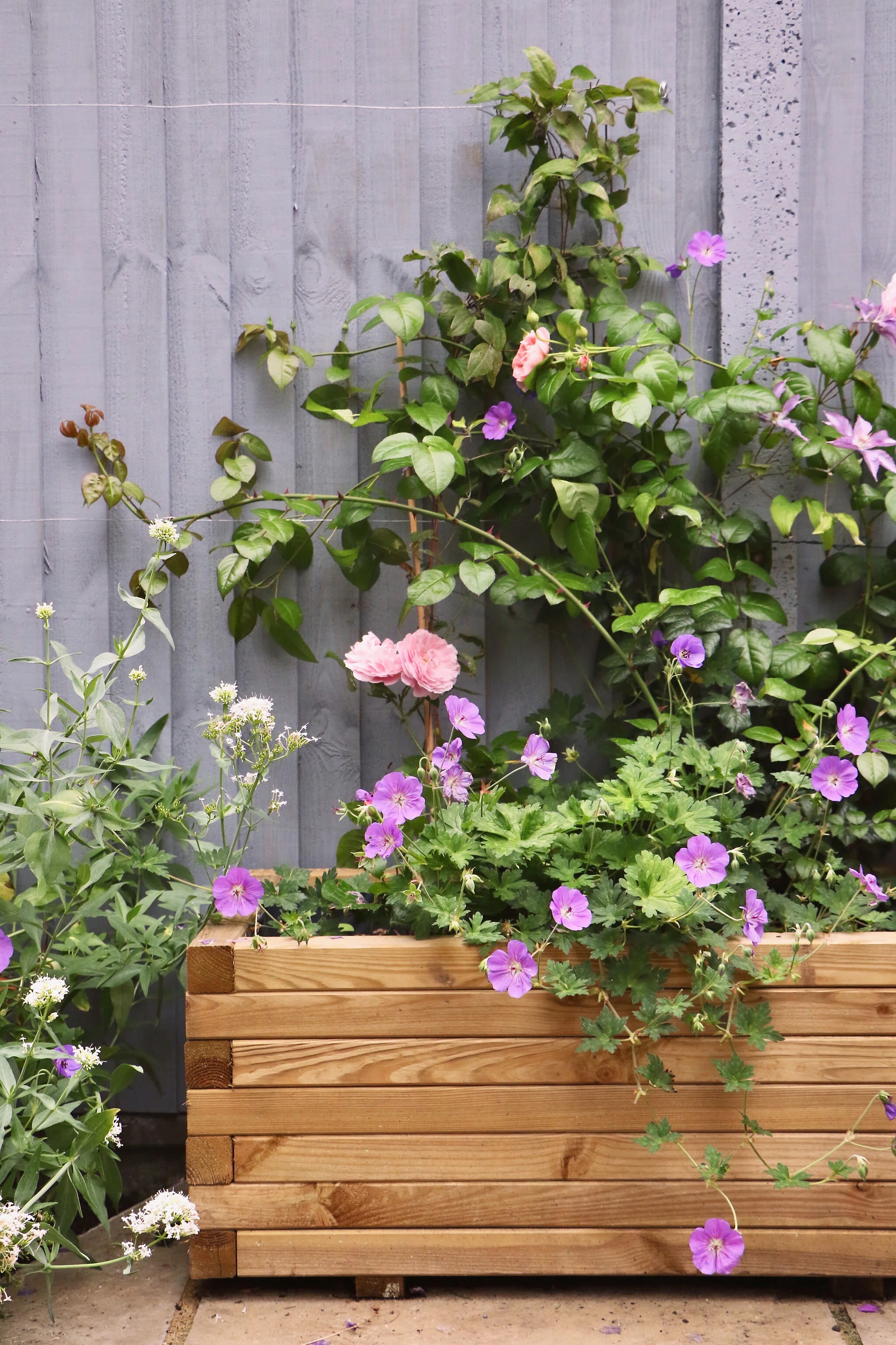 Gardens by Knight planter.jpeg