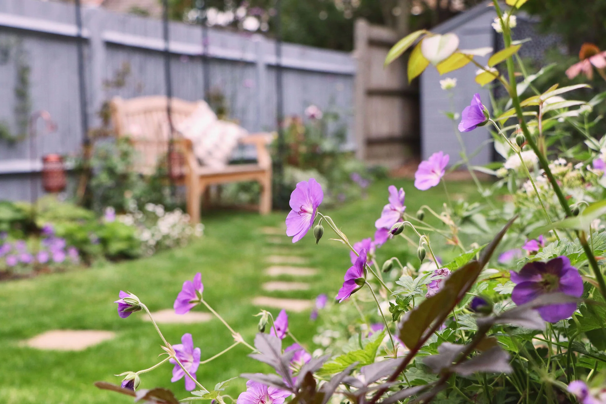 Gardens by Knight across garden.jpeg