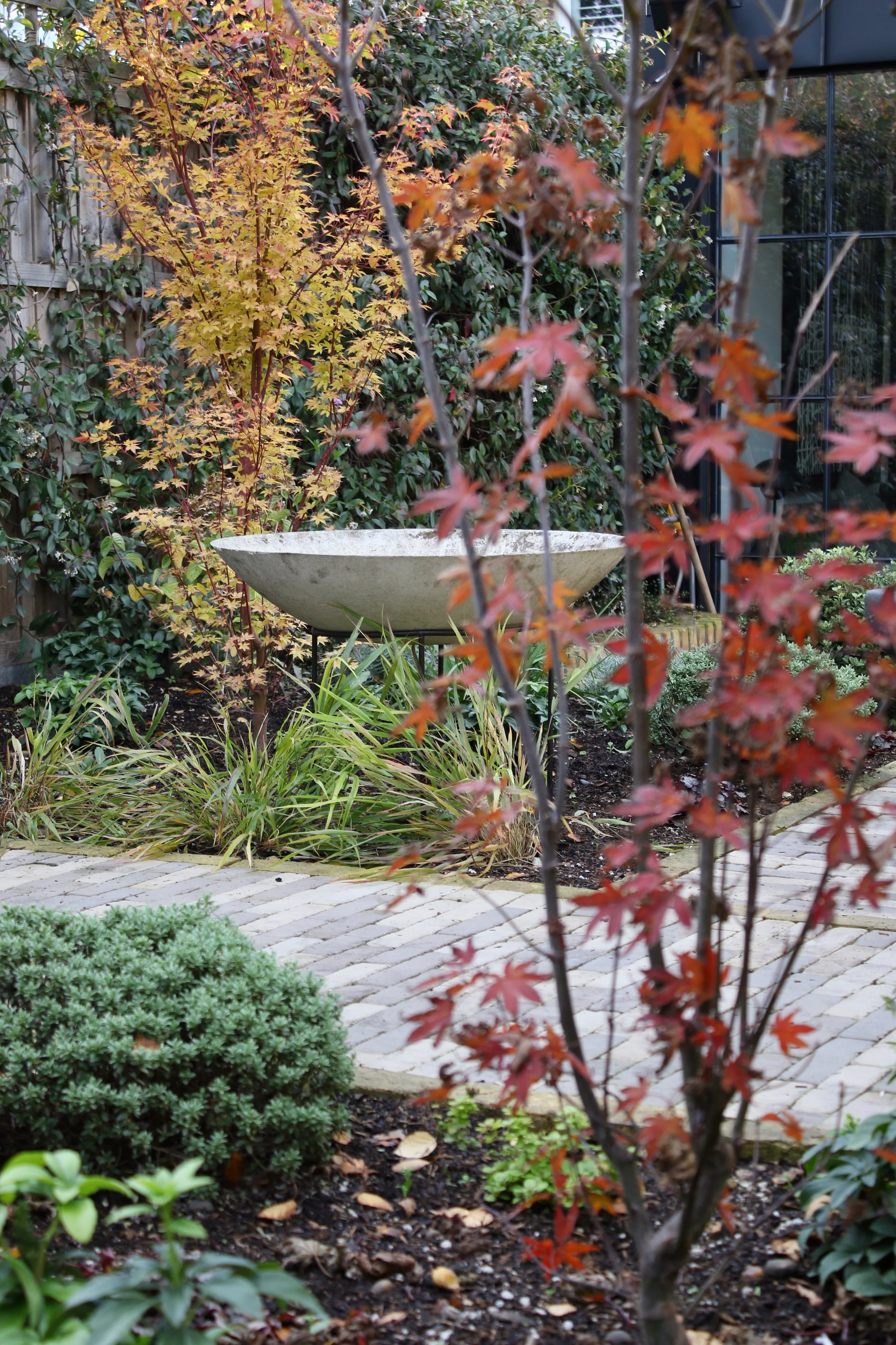 Chancery Lane - view through both acers.jpeg