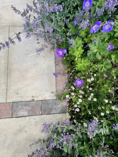 Gardens by Knight courtyard garden stone detail.jpeg