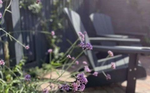 Courtyard Garden by Gardens by Knight