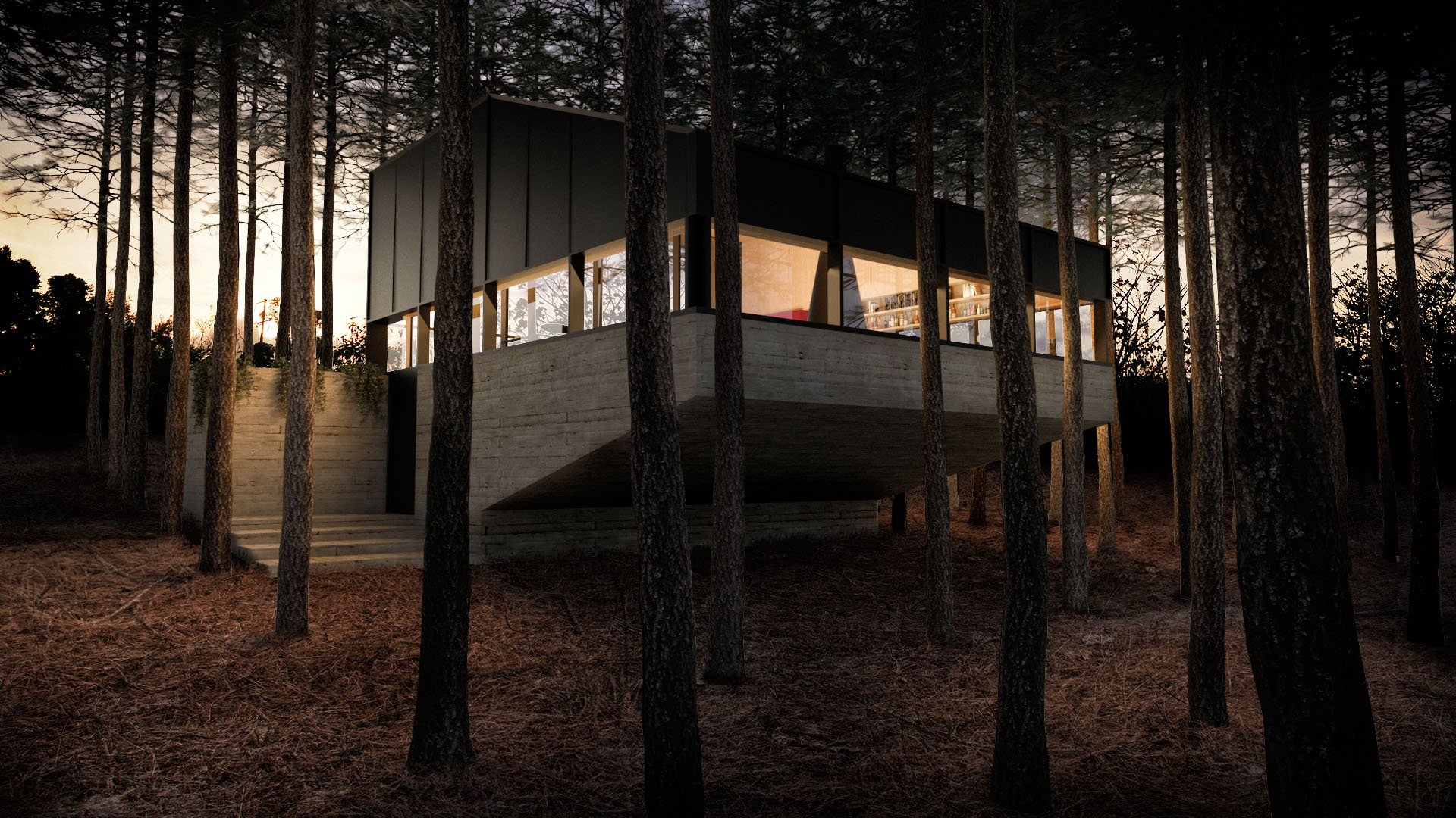 CASA ARBOL EXTERIOR A.jpg