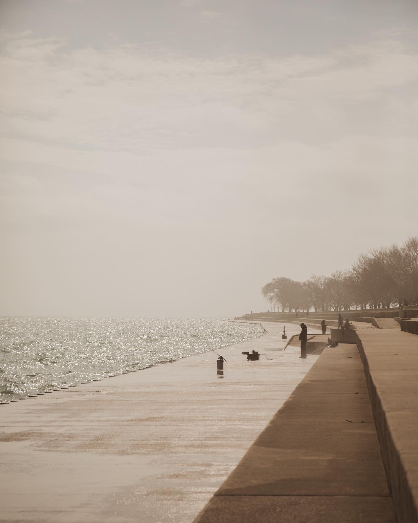 Salmon fishing. #chicago #spring