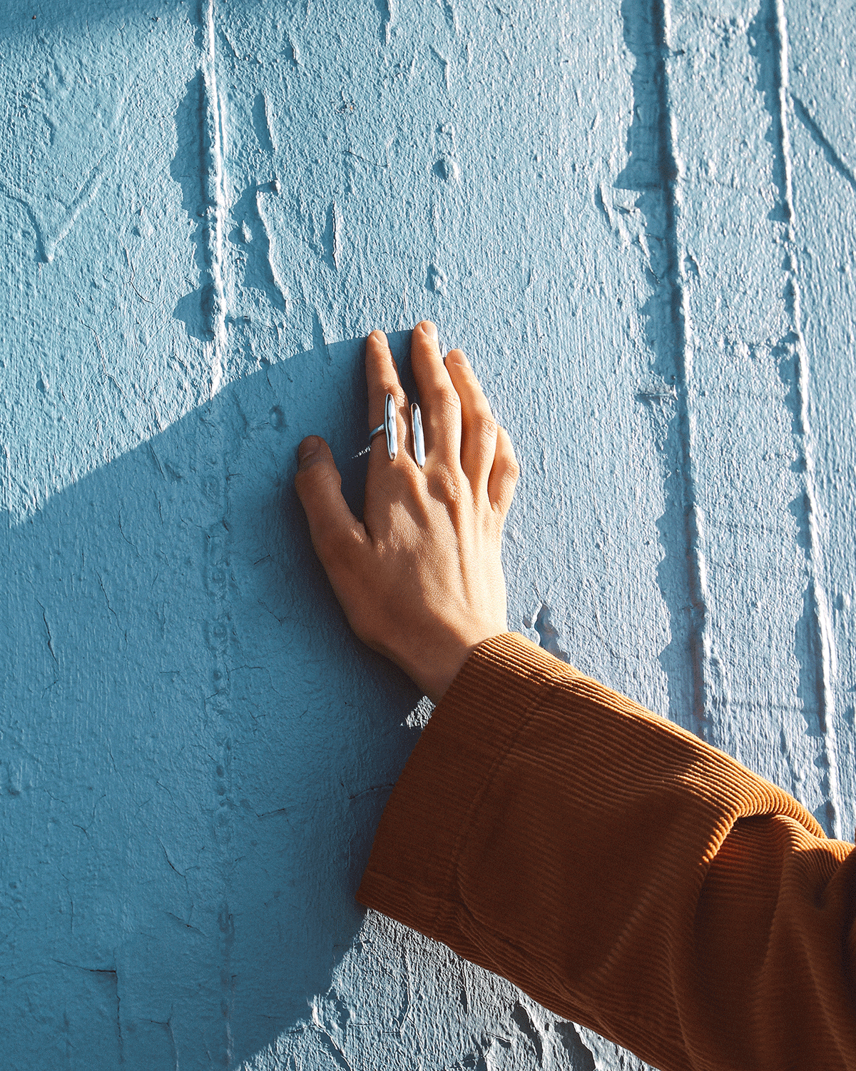 InArms__0003_Ring_3.png