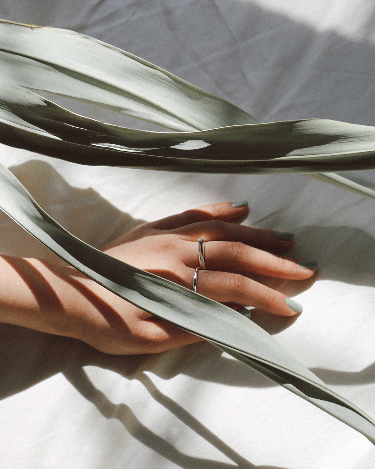 InArms__0001_Rings_2.png