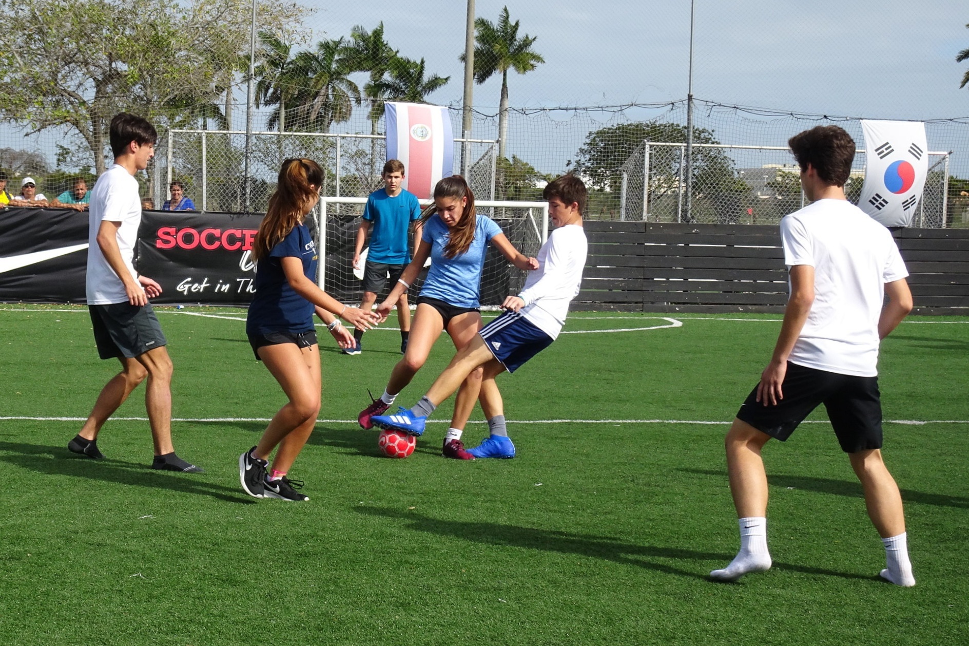 DSC08563%2B%25281%2529.jpg