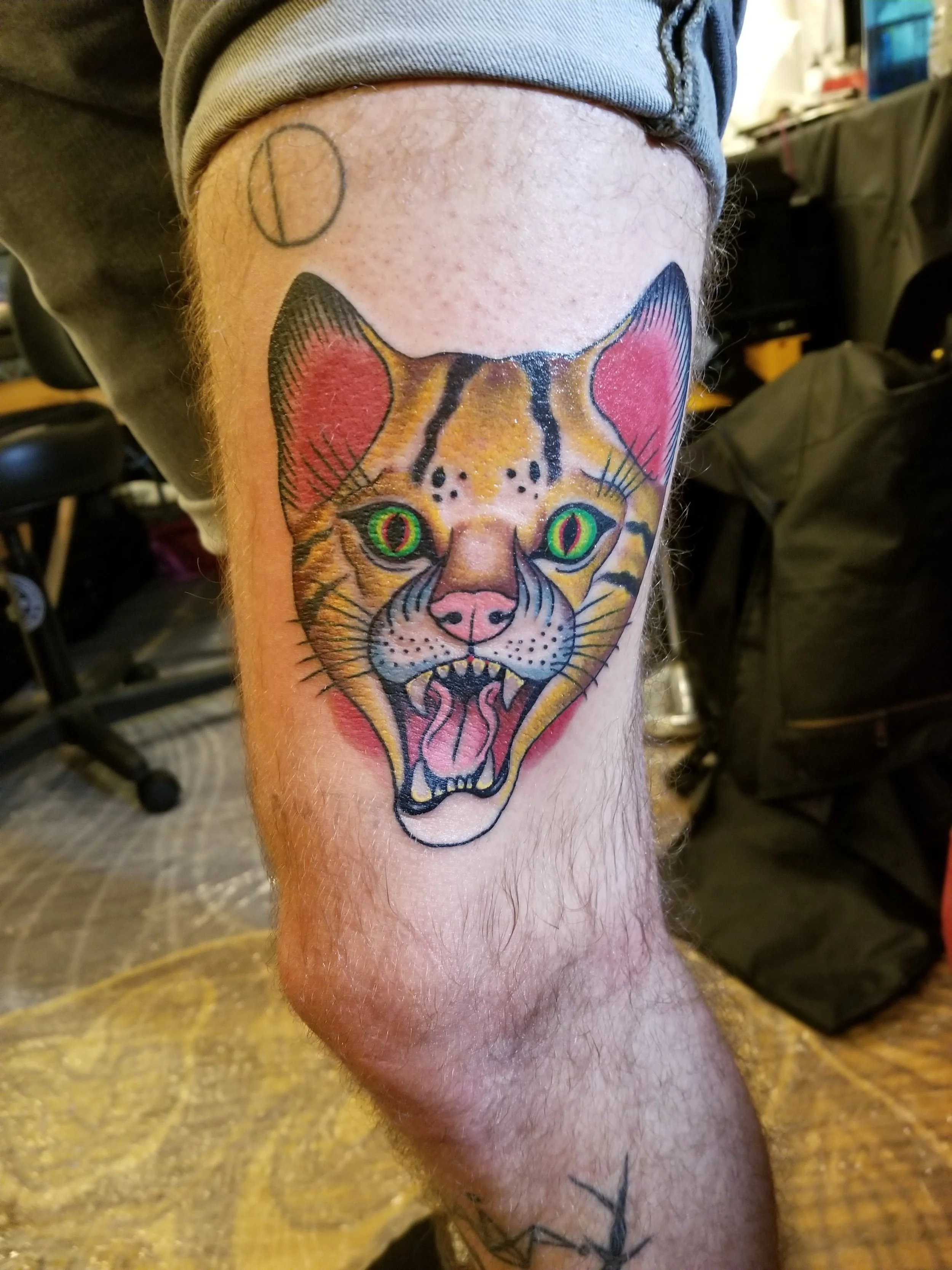 20180407_183831.jpg
