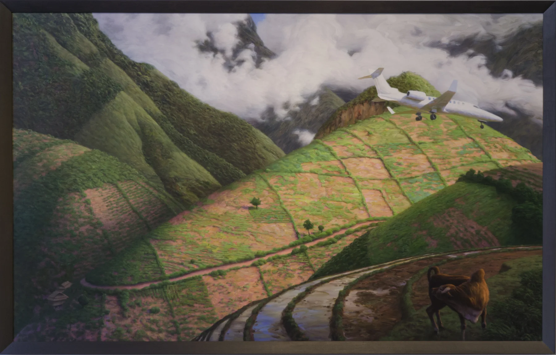 Plots - 48"x 78" - 2008