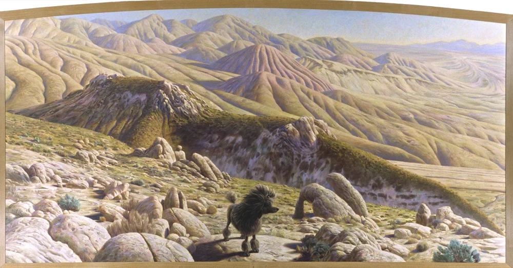 American Standard - 48" x 94" - 1999