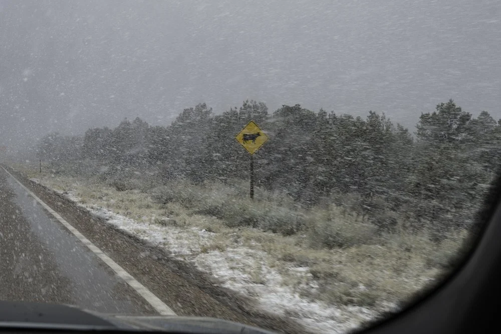 Constant Rider - 9.jpg