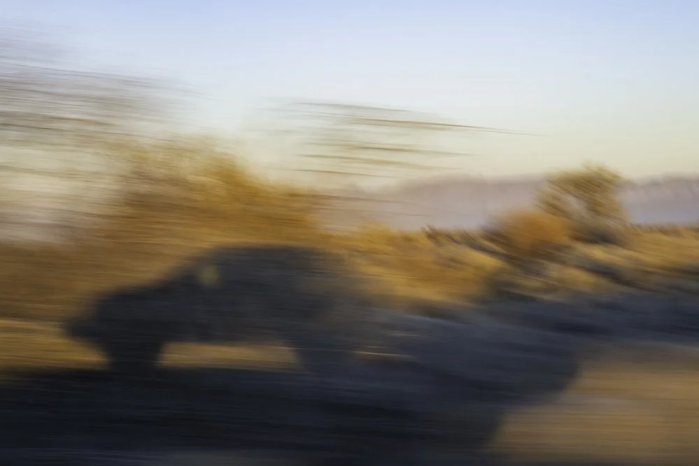 Constant Rider - 02.jpg