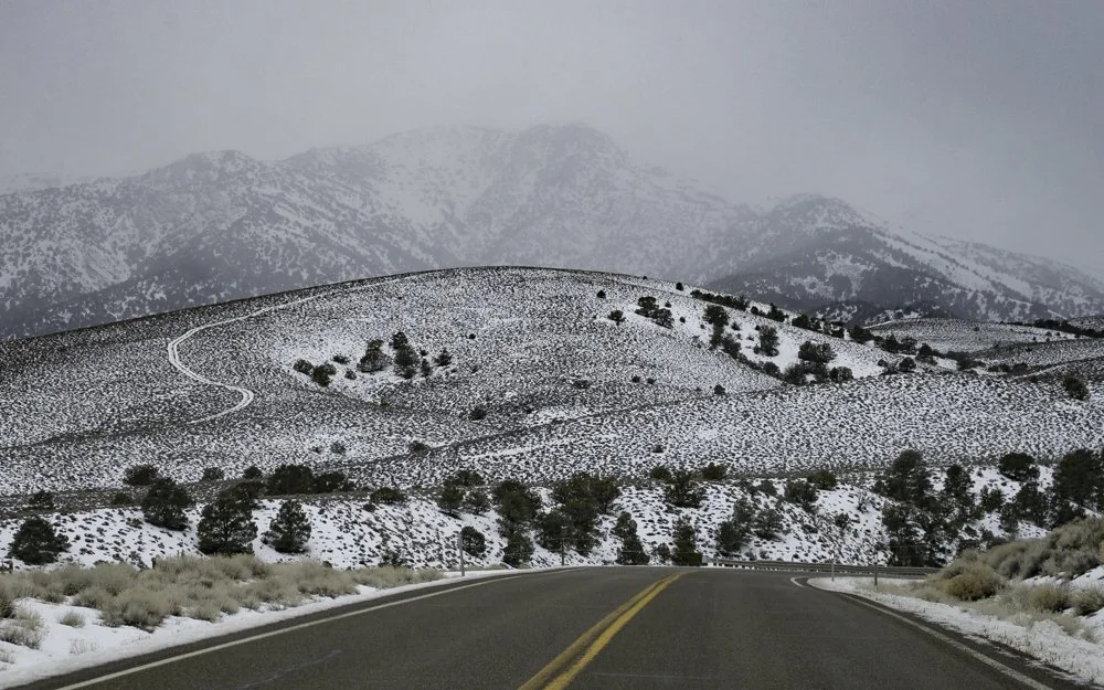 Constant Rider-1 (1).jpg