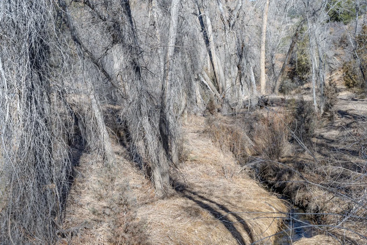 Out Here 9 c&b-13.jpeg